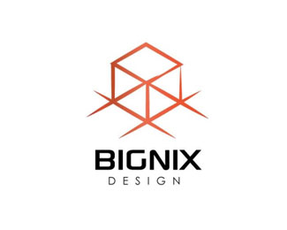 Bignix Design