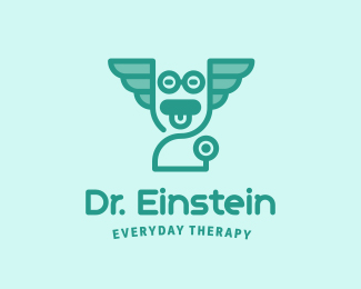 Dr Einstein