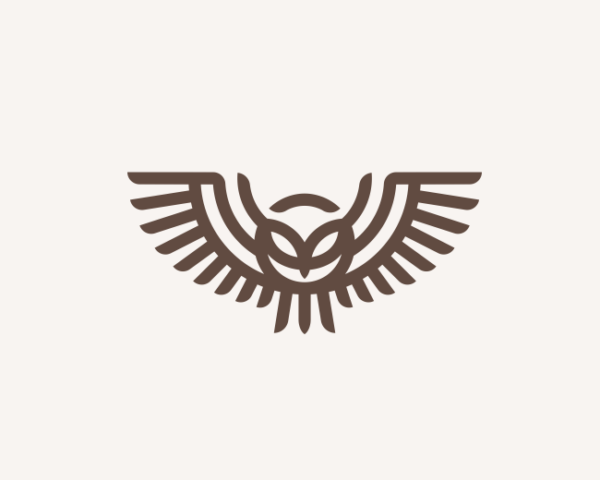 Flying owl logo