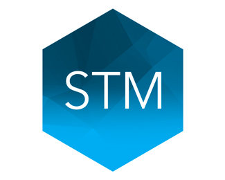 STM Group PLC