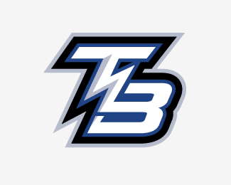 Tampa Bay Lightning Concept Logo